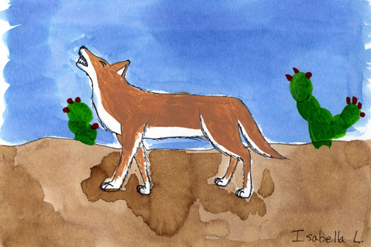 Isabella's coyote painting