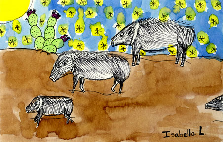 Isabella's javelina herd painting