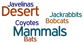 Mammals Logo